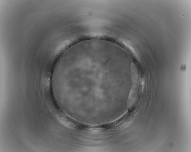 X0000092000495200709131517