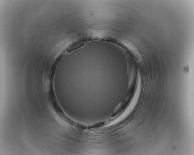 X0000092000496200709131517