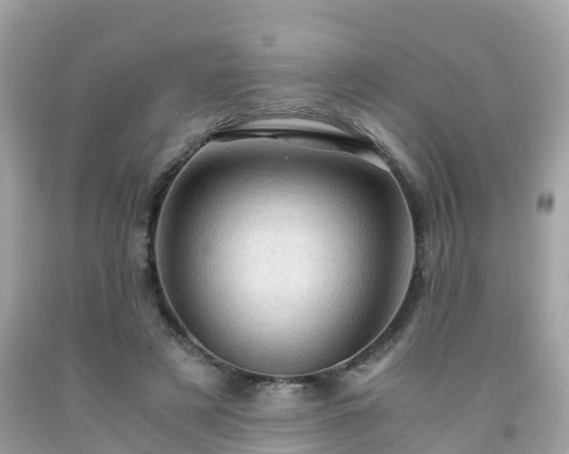 X0000092000497200709131517