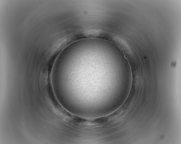 X0000092000498200709131517