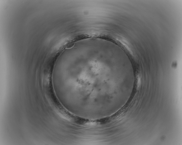 X0000092000499200709131517