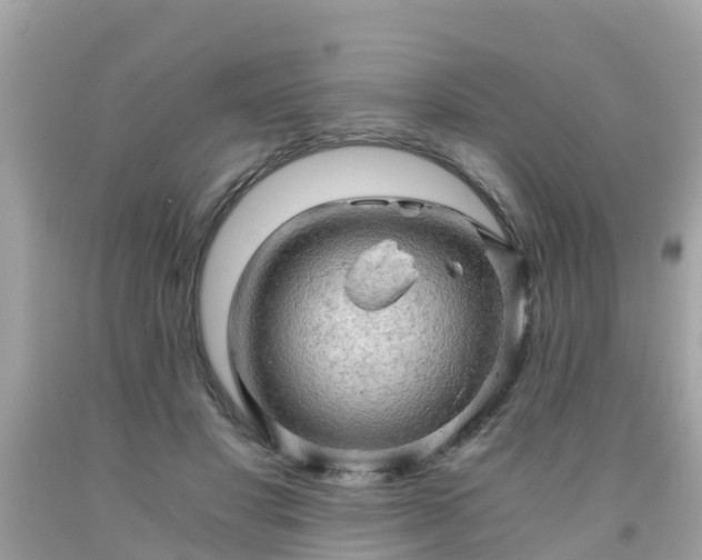 X0000092000501200709131517