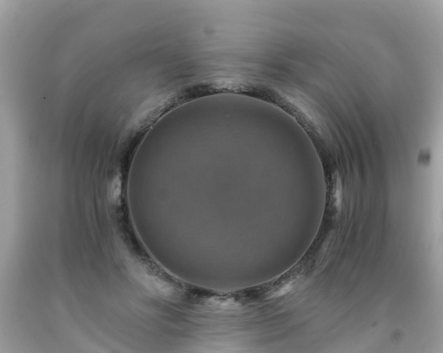 X0000092000502200709131517