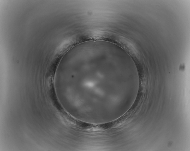 X0000092000503200709131517