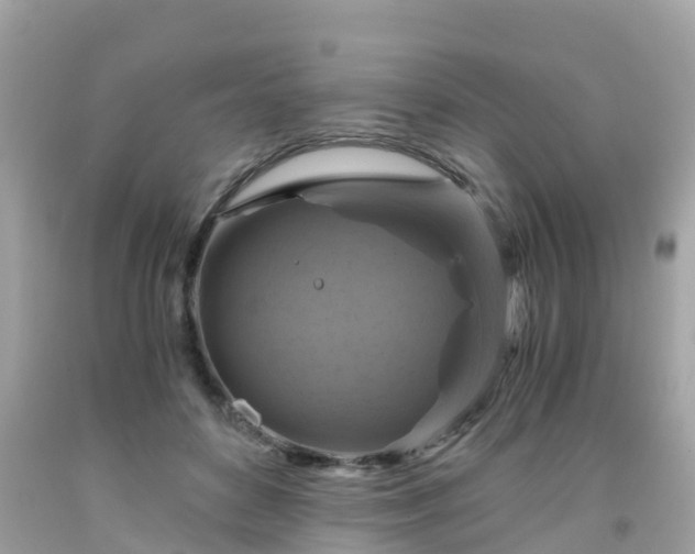 X0000092000504200709131517