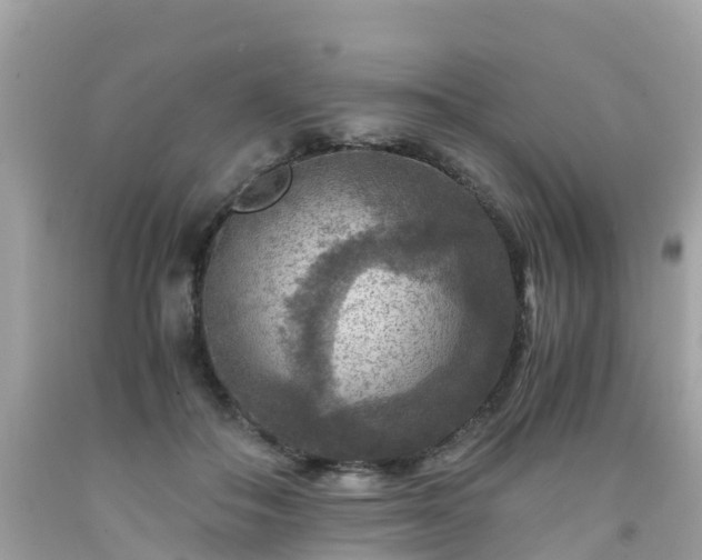 X0000092000506200709131517