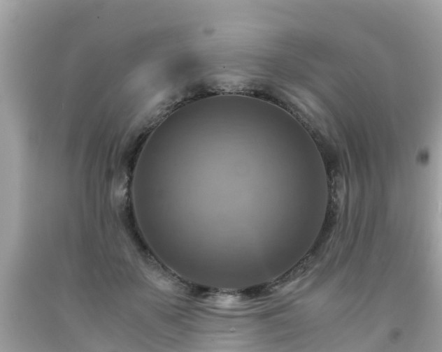 X0000092000507200709131517