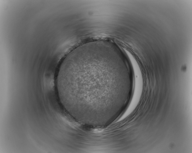 X0000092000508200709131517