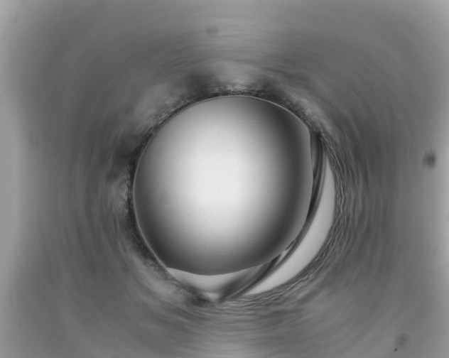 X0000092000509200709131517