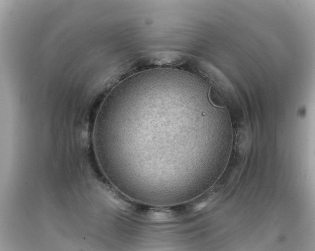 X0000092000510200709131517