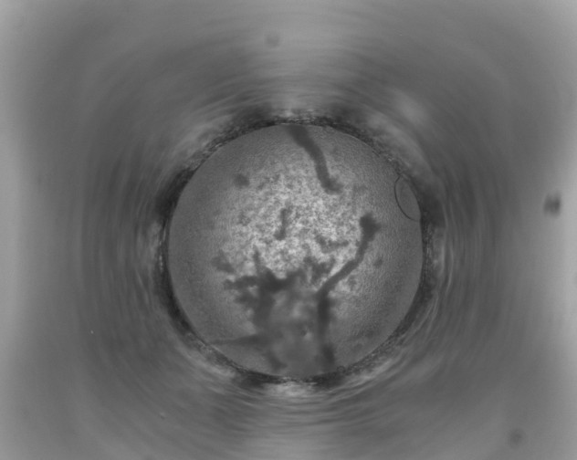 X0000092000511200709131517