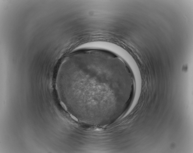 X0000092000512200709131517