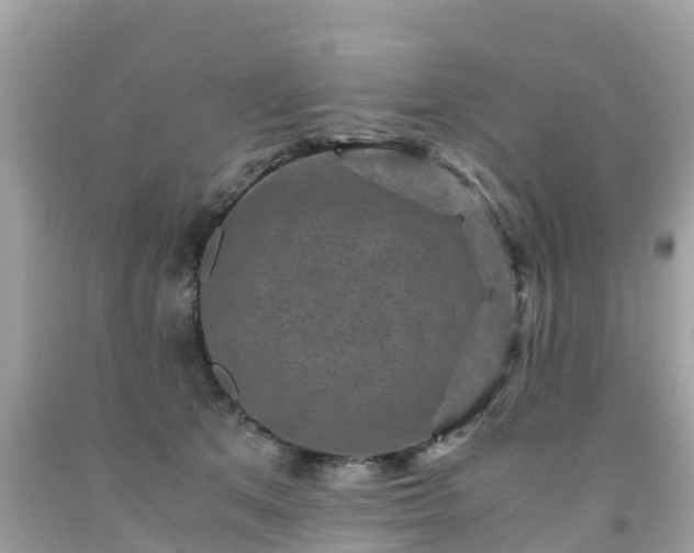 X0000092000513200709131517