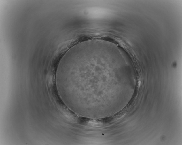 X0000092000515200709131517