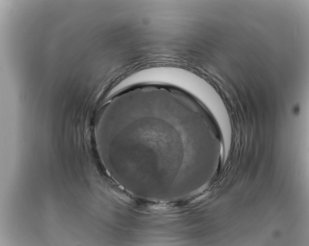 X0000092000516200709131517