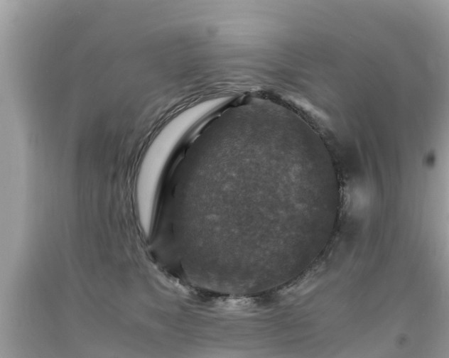 X0000092000517200709131517