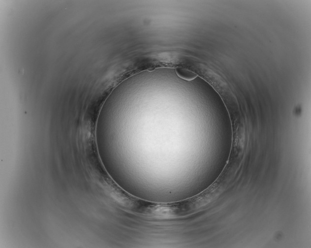 X0000092000518200709131517