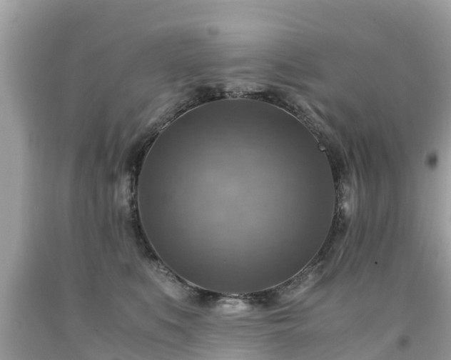 X0000092000519200709131517