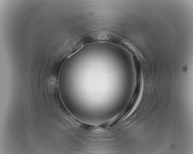 X0000092000521200709131517