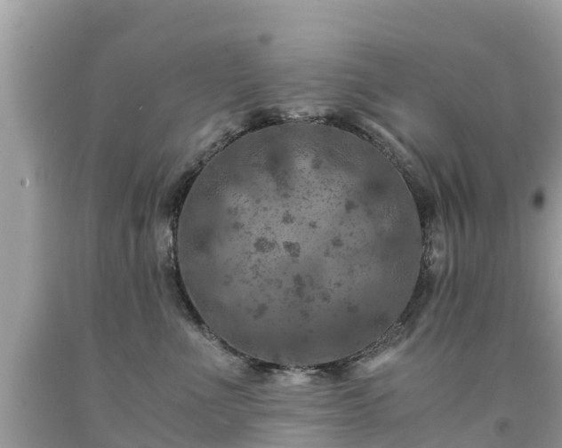 X0000092000523200709131517