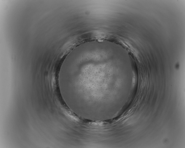 X0000092000524200709131517