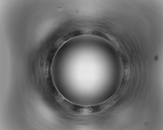 X0000092000525200709131517