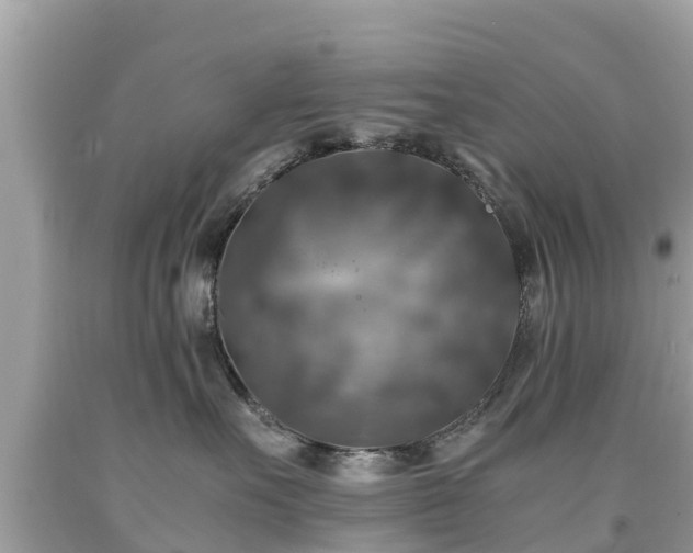 X0000092000527200709131517