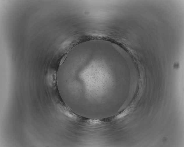 X0000092000528200709131517