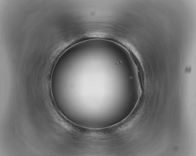 X0000092000529200709131516