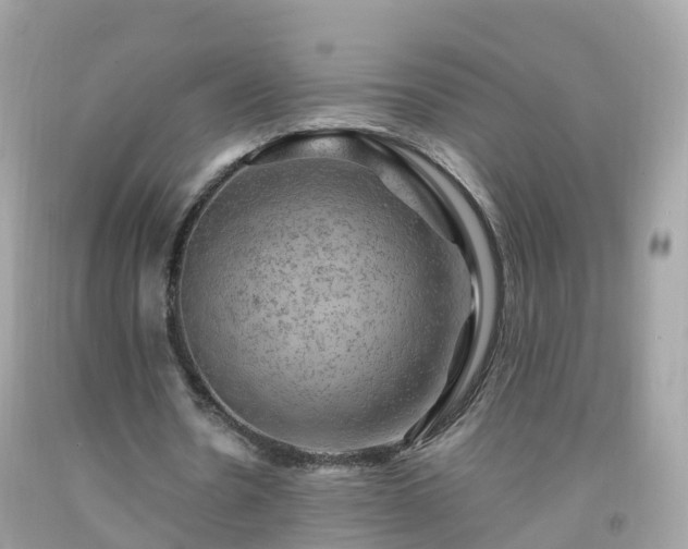 X0000092000530200709131516