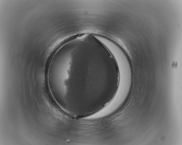 X0000092000531200709131516