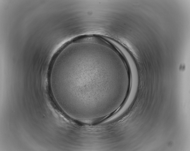 X0000092000532200709131516