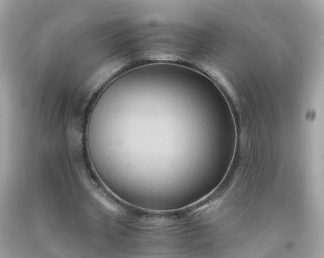 X0000092000533200709131516