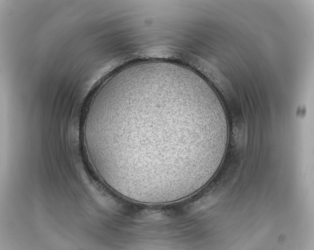 X0000092000534200709131516