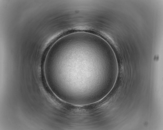 X0000092000535200709131516