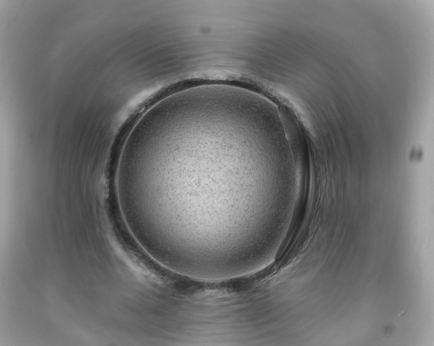 X0000092000536200709131516