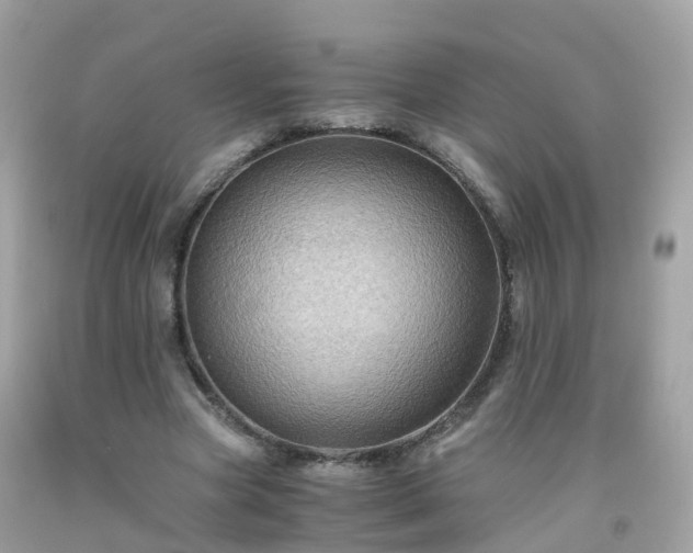 X0000092000537200709131516