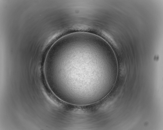 X0000092000538200709131516