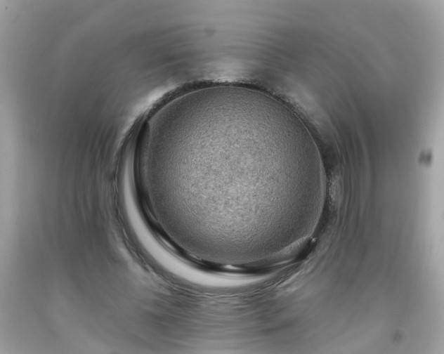 X0000092000540200709131516