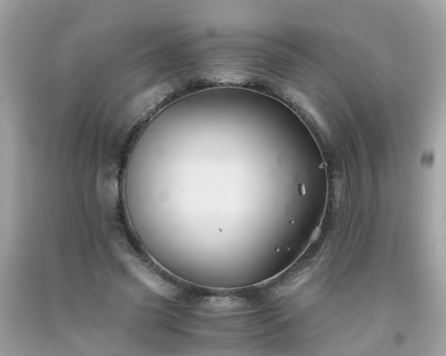 X0000092000541200709131516