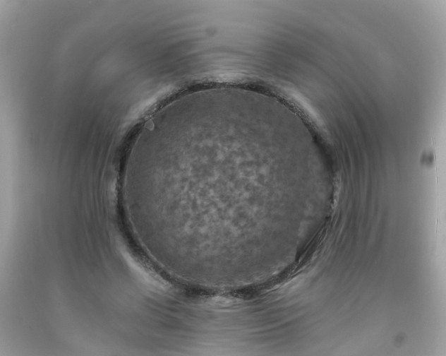 X0000092000542200709131516