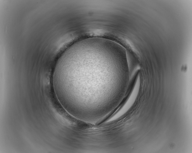 X0000092000543200709131516