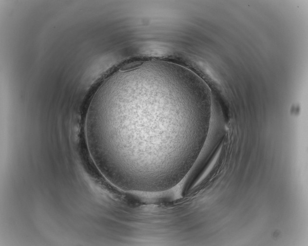 X0000092000544200709131516