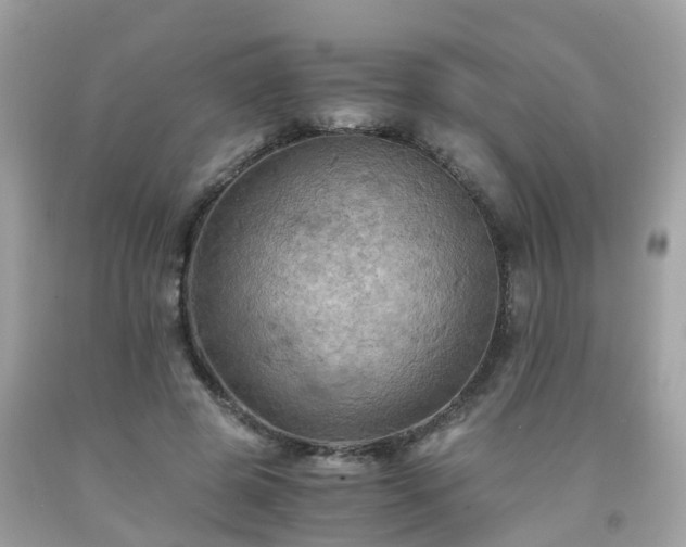 X0000092000545200709131516