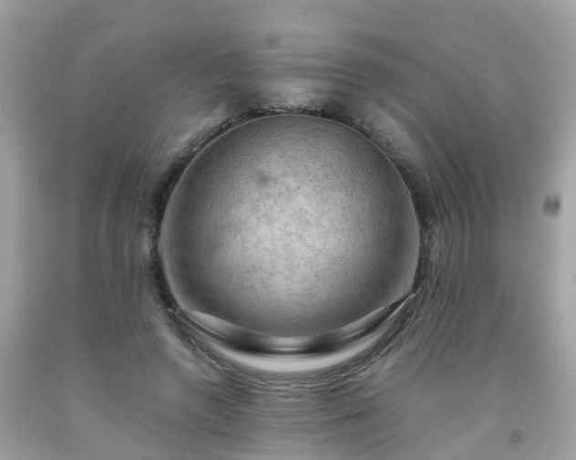 X0000092000546200709131516