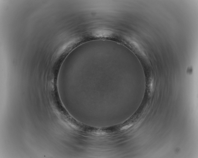 X0000092000547200709131516