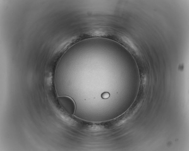 X0000092000549200709131516