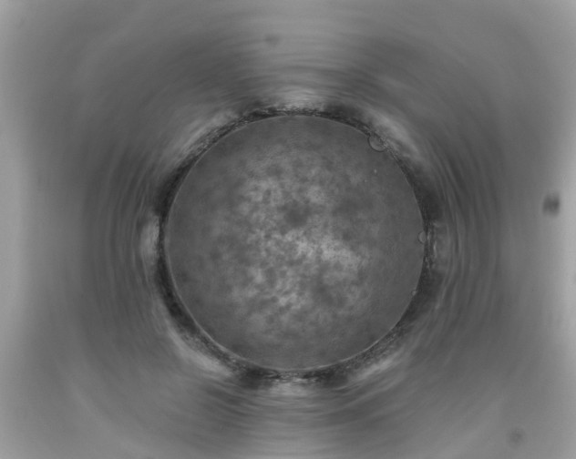 X0000092000550200709131516