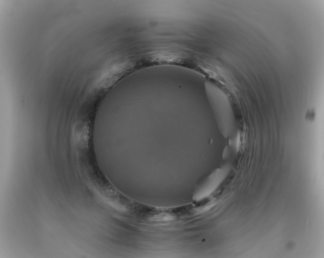 X0000092000551200709131516