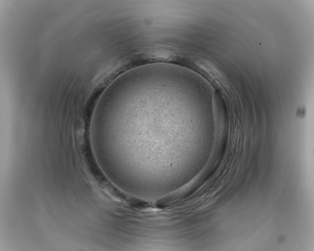 X0000092000552200709131516